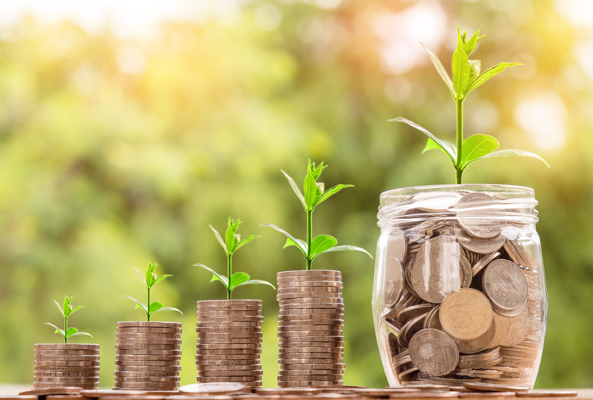 Access to finance and contract management