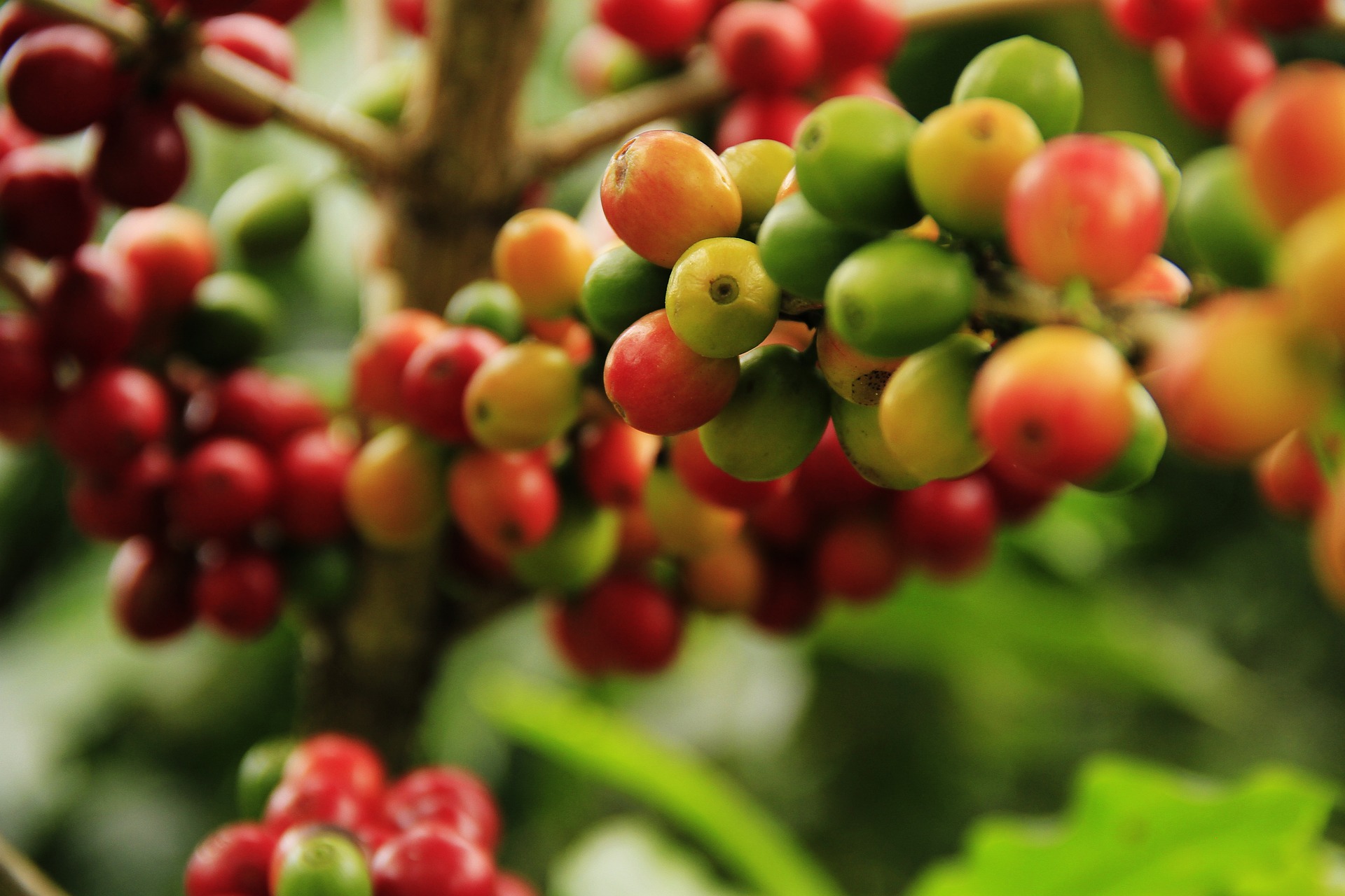 Enhanced Analysis and Reporting for Farming Businesses