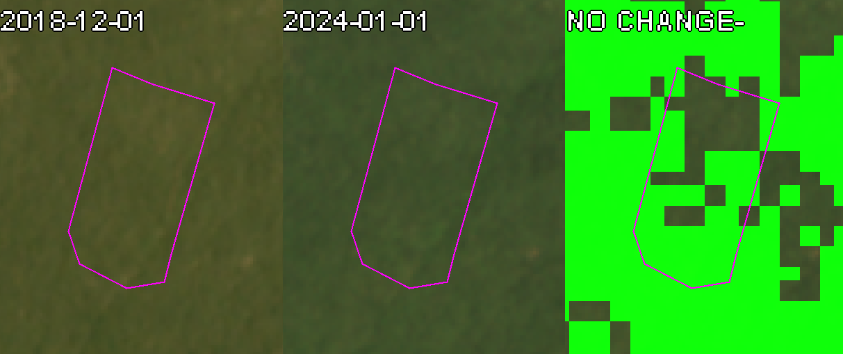 Deforestation and EUDR compliance